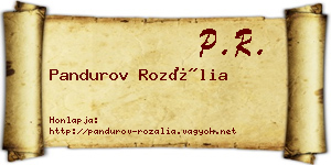 Pandurov Rozália névjegykártya